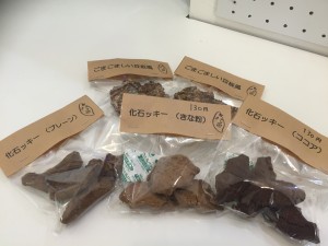 image1 (1)