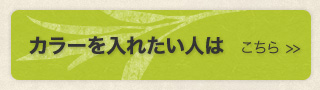 カラーを入れたい人は