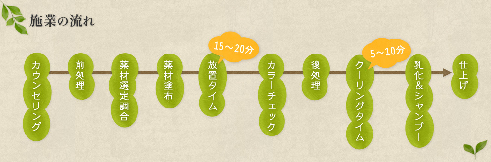 施業の流れ　カウンセリング→前処理→薬材選定調合→薬剤塗布→放置タイム15〜20分→カラーチェック→後処理→クーリングタイム5~10分→乳化＆シャンプー→仕上げ