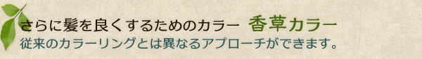 さらに髪を良くするためのカラー香草カラー