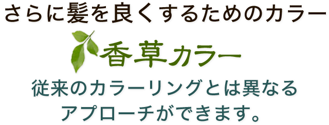 従来のカラーとは異なる